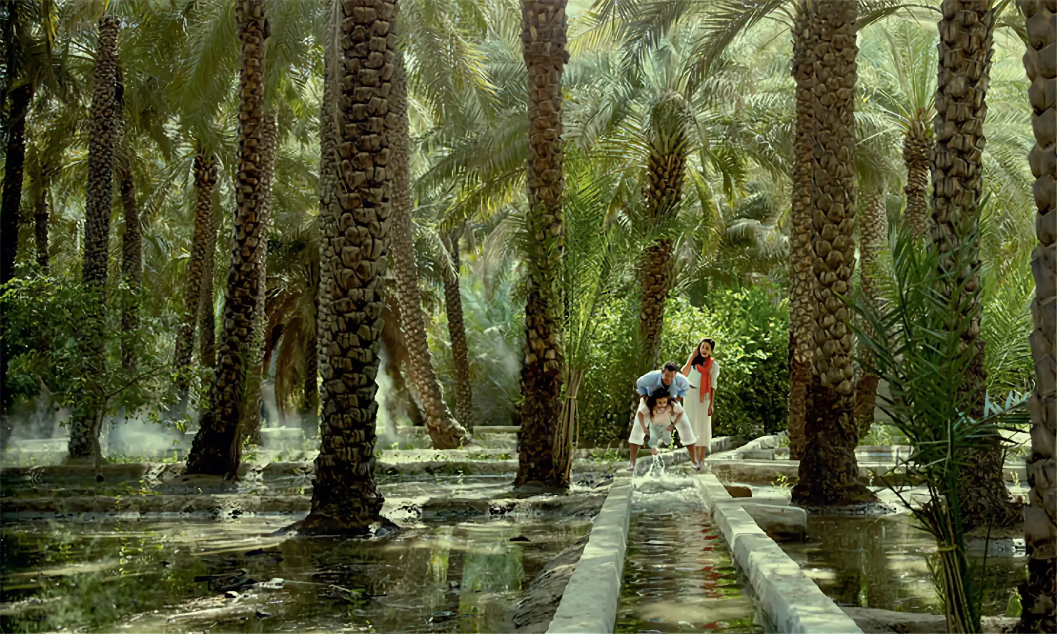 Al Ain Oasis Canopy