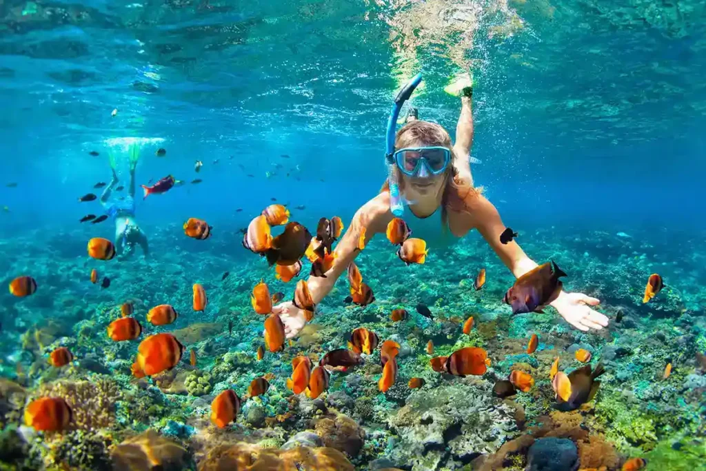 Snorkeling Channels